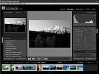 Synchronize Settings In A Group Of Photos In Photoshop Lightroom