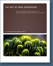 Art of RAW Conversion: How to Produce Art-Quality Photos with Adobe Photoshop CS2 and Leading RAW Converters