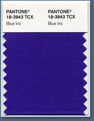 Pantone Color Of The Year 2008 - PANTONE 18-3943 Blue Iris