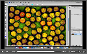 Photoshop CS4 Feature Tour Videos From Adobe TV Site
