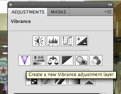 Photoshop CS4 Tutorial - The New Vibrance Adjustment Tool
