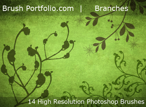 Free Branches Photoshop Brushes