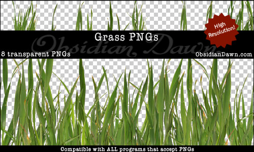 Grass Transparent PNGs From Obsidian Dawn