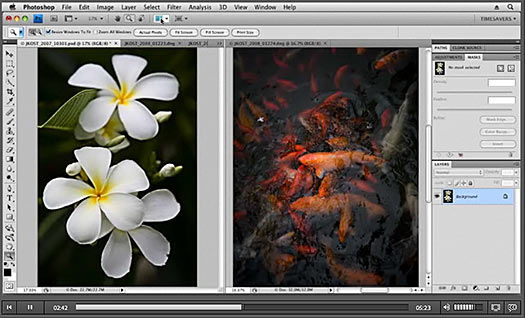 Everyday Timesavers: Photography - GPU Acceleration in Photoshop CS4 - Free Video Tutorial