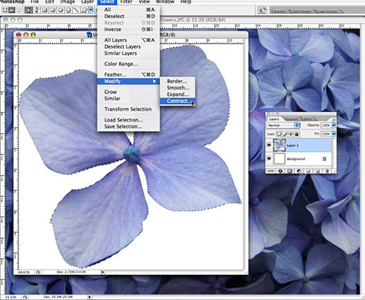 Photoshop Selection Tip From Photoshop Daily