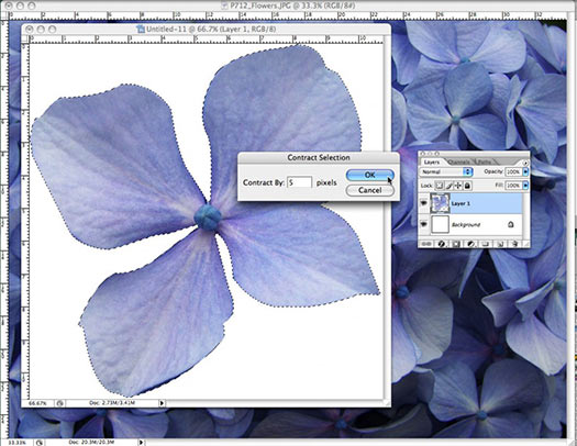 Photoshop Selection Tip From Photoshop Daily