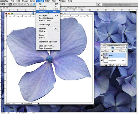 Photoshop Selection Tip From Photoshop Daily