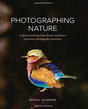 Photographing Nature Book - Free Sample Chapter