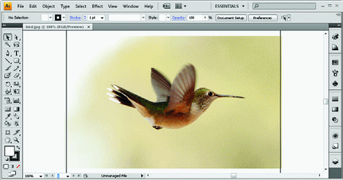 adobe illustrator cs4 video tutorial free download