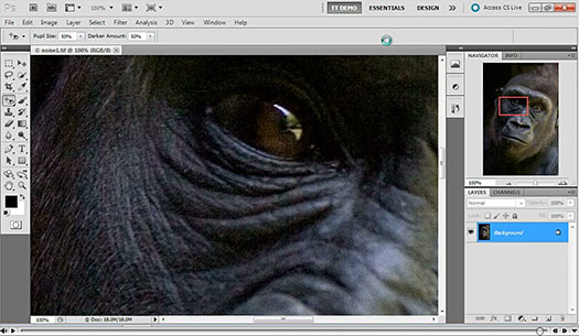 How To Remove Noise From An Image - Photoshop CS5 - Free CS5 Video Clip From Total Training