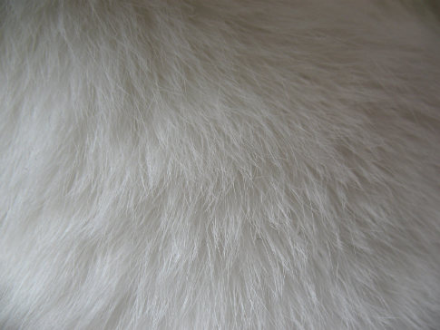 Free Fur Textures From BittboxFrom