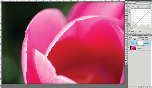 How To Customize Photoshop For A Better Workflow - Tutorial