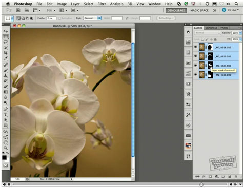 Photoshop's Auto-Blend Feature - Video Tutorial - Sharpen Focus Using Stacked Images