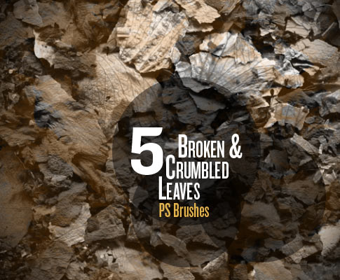 Free Broken And Crumpled Leaves Photoshop Brushes - Set Of 5 