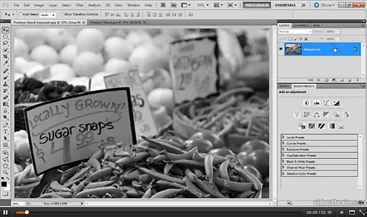 Photoshop Black-and-White Workshop- Create Incredible Images from Color Originals