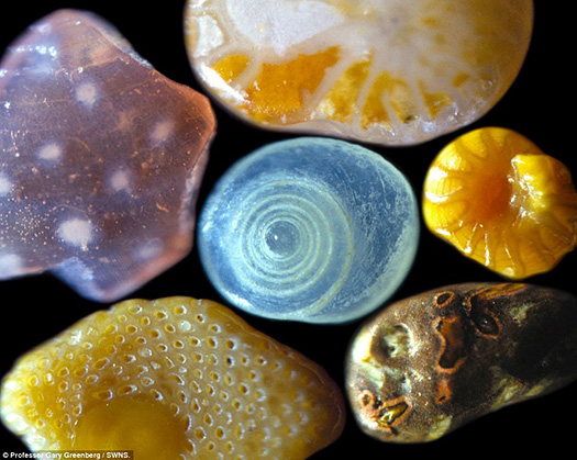Grains Of Sand Magnified 250 Times Reveal Beautiful Delicate Structures