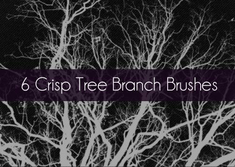 Free Set Of Photoshop Brushes - 6 Crisp Tree Branch Brushes