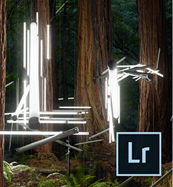 What’s New in Lightroom 5 - 6 Free Videos