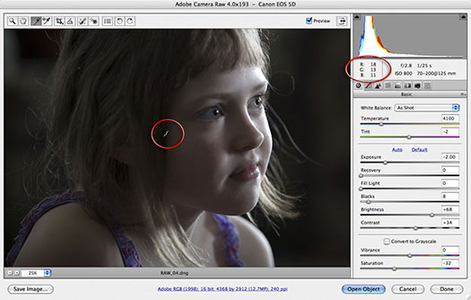 camera raw plugin for photoshop cs3 free download