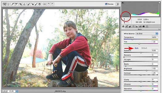 Working In Adobe Camera Raw - ACR - Adobe Camera Raw Tips