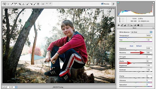 Adobe Camera Raw 16.0 free