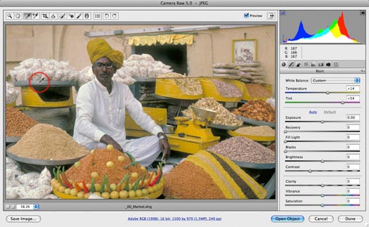 Working In Adobe Camera Raw - ACR - Adobe Camera Raw Tips