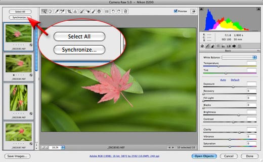 download photoshop cs4 free