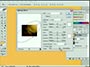 Adobe Photoshop CS - Organic Paper - Video Tutorial